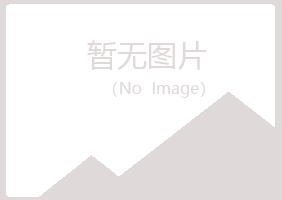 鹤岗东山执着培训有限公司